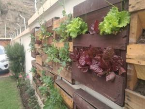 51710837_10156321702487426_6239299592194621440_o RESPUESTAS INMEDIATAS